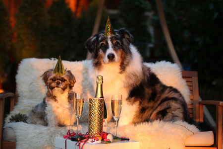 Neujahr_03