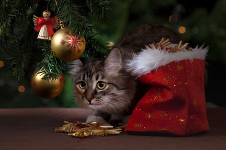 Weihnachten_02